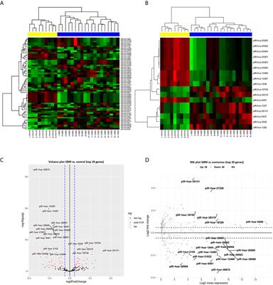 Small RNA Sequencing Identifies PIWI-Interacting RNAs Deregulated in Glioblastoma—piR-9491 and piR-12488 Reduce Tumor Cell Colonies In Vitro